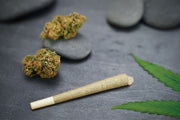 Advantages Of Hemp Pre-Rolls And Flowers - TruHarvest Farms