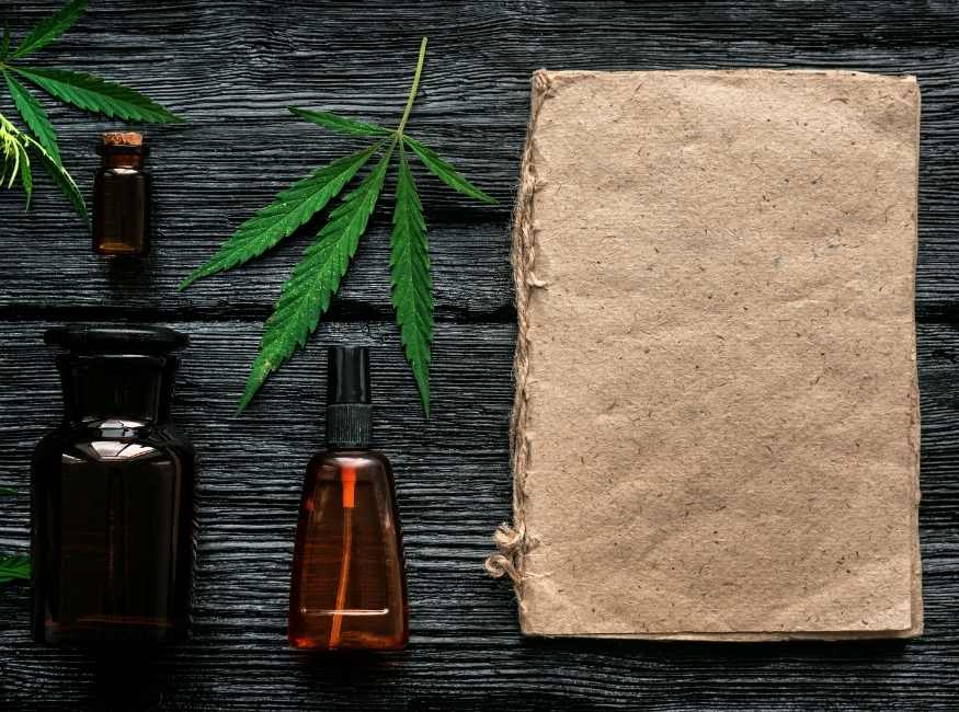 Our 7 Favorite Books On CBD - TruHarvest Farms