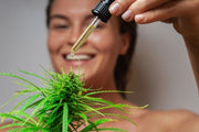 What Does CBD Do In Cosmetics - TruHarvest Farms